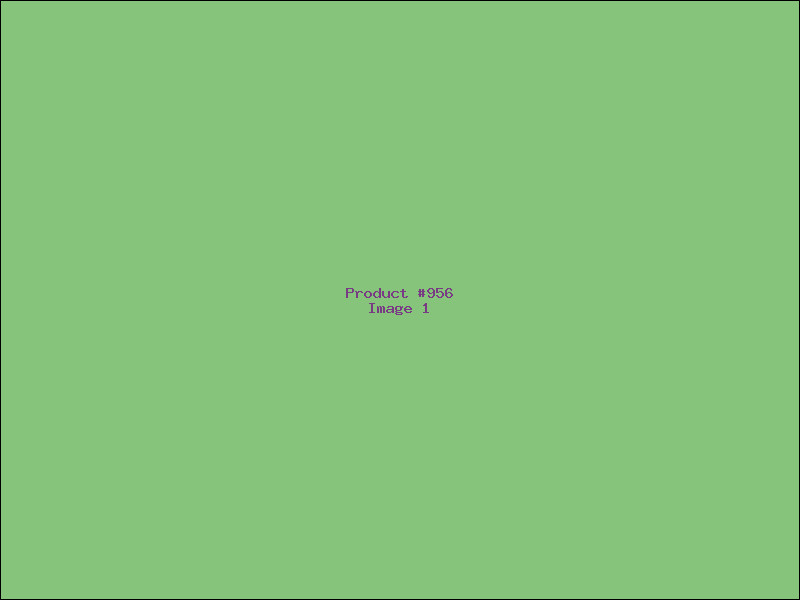 Example Product 956