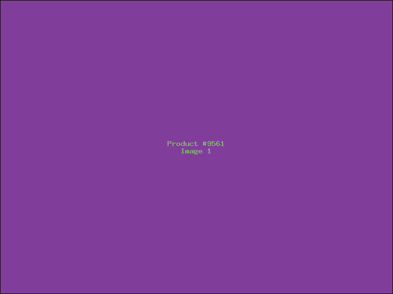 Example Product 9561