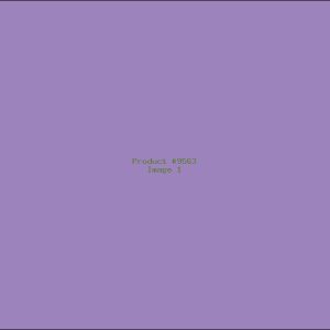 Example Product 9563
