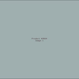 Example Product 9564