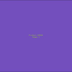 Example Product 9566