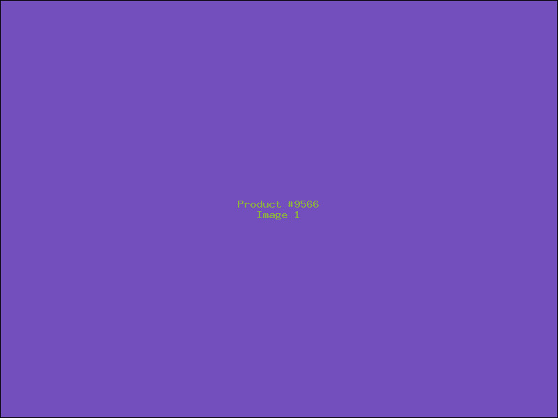 Example Product 9566