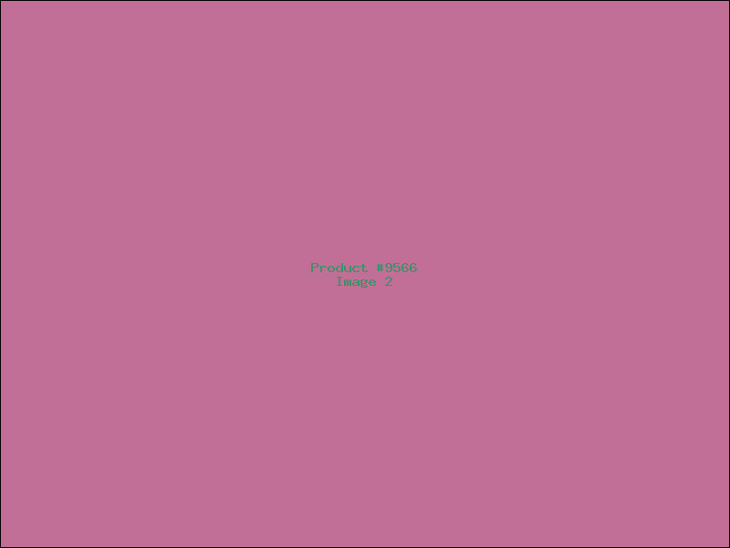 Example Product 9566 - Image 2