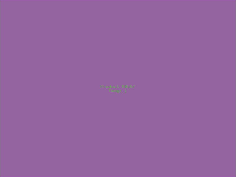Example Product 9567