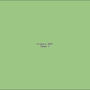 Example Product 957