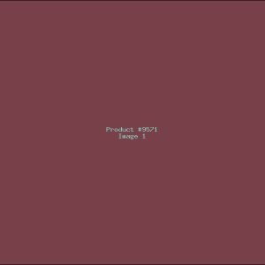 Example Product 9571