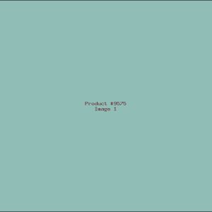 Example Product 9575