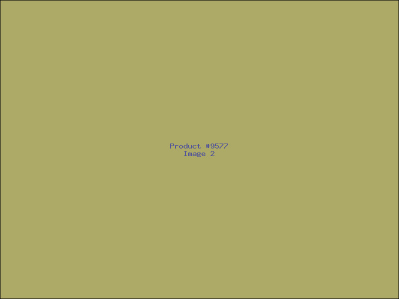 Example Product 9577 - Image 2