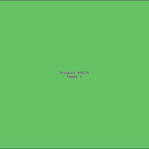 Example Product 9578