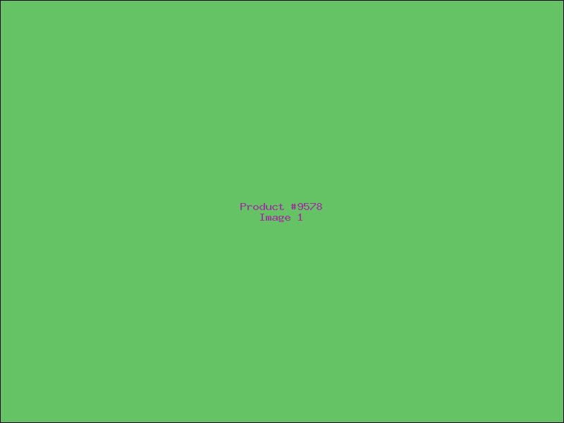 Example Product 9578