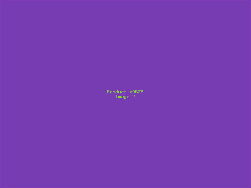 Example Product 9578 - Image 2