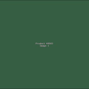 Example Product 9583