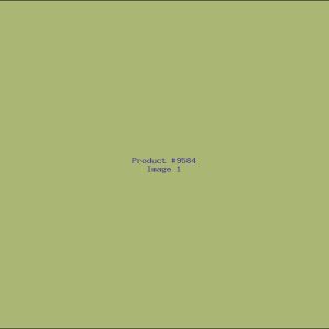 Example Product 9584