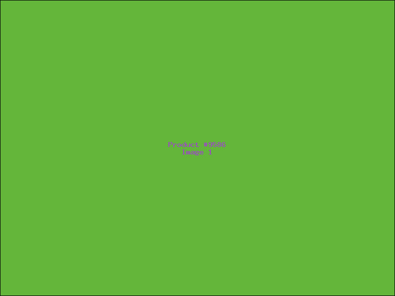 Example Product 9586