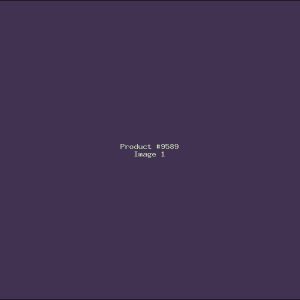 Example Product 9589