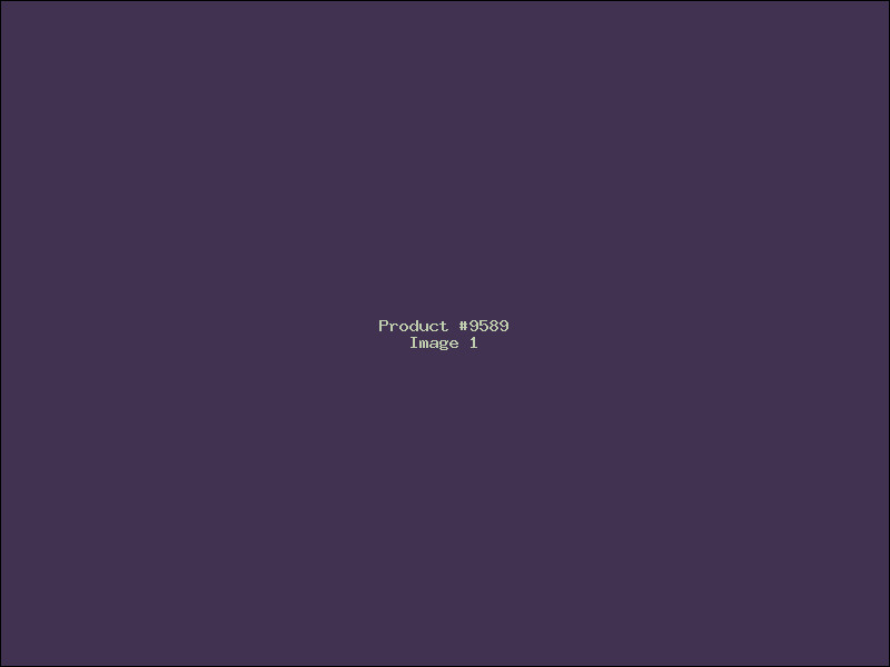 Example Product 9589