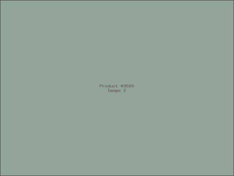 Example Product 9589 - Image 2
