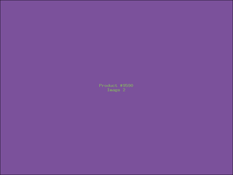Example Product 9590 - Image 2