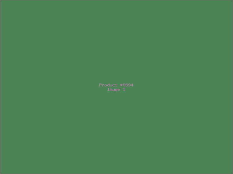 Example Product 9594