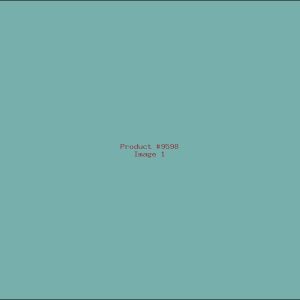 Example Product 9598