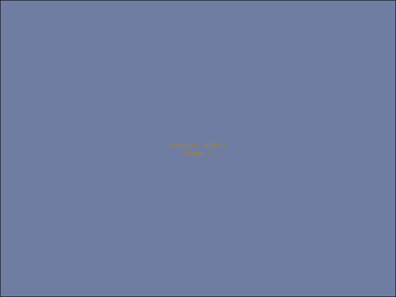 Example Product 9601