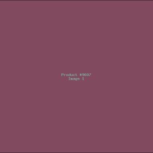 Example Product 9607