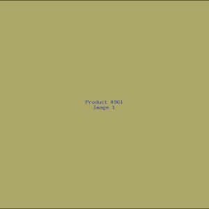 Example Product 961