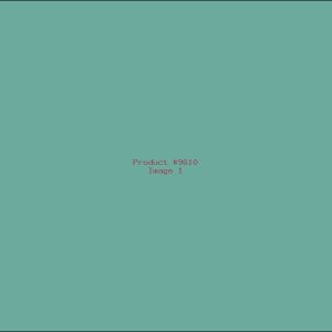 Example Product 9610