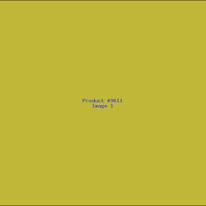 Example Product 9611