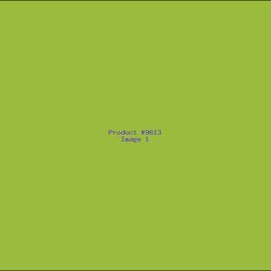 Example Product 9613