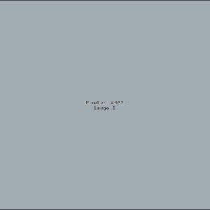 Example Product 962