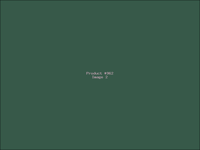 Example Product 962 - Image 2