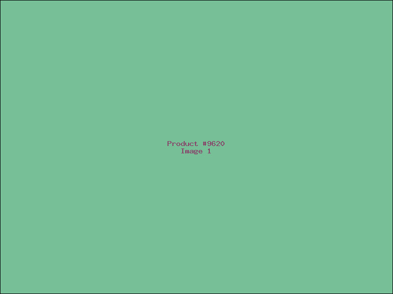 Example Product 9620