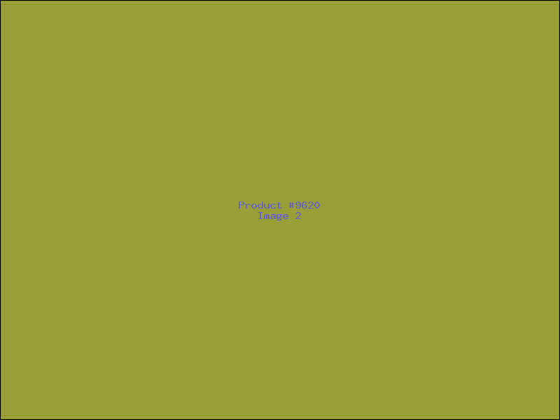 Example Product 9620 - Image 2