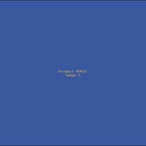 Example Product 9621