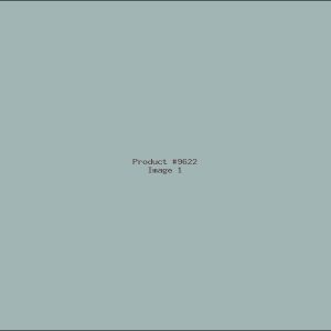 Example Product 9622