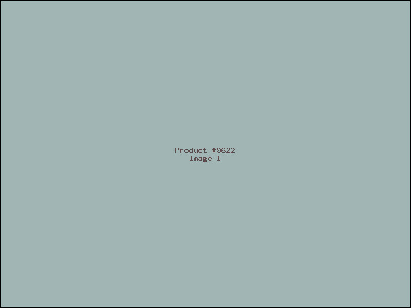 Example Product 9622