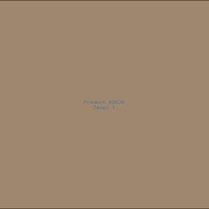 Example Product 9626