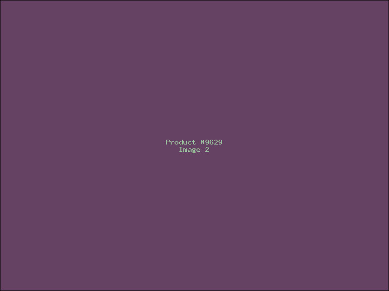 Example Product 9629 - Image 2