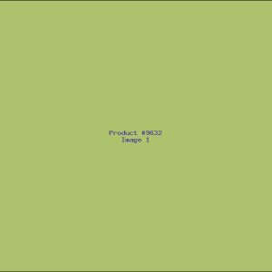 Example Product 9632