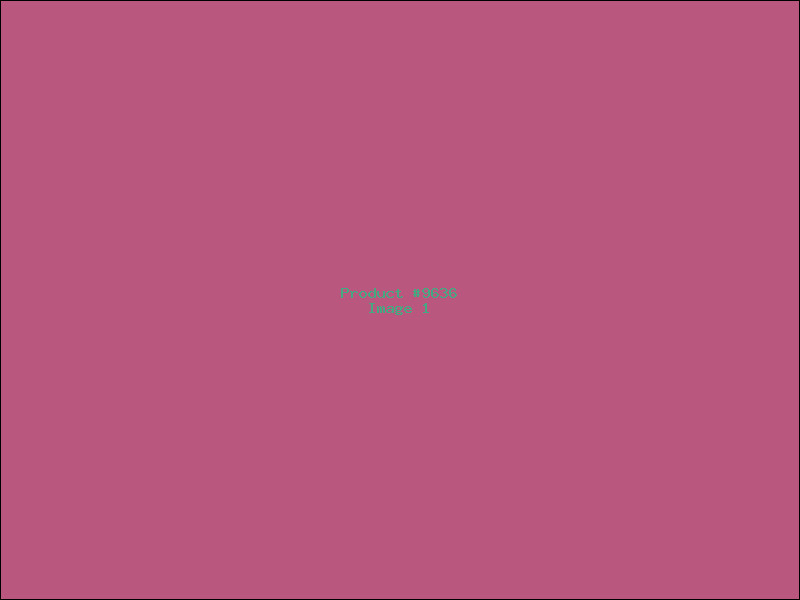 Example Product 9636