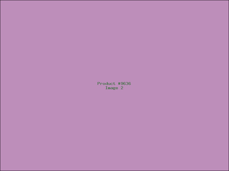 Example Product 9636 - Image 2