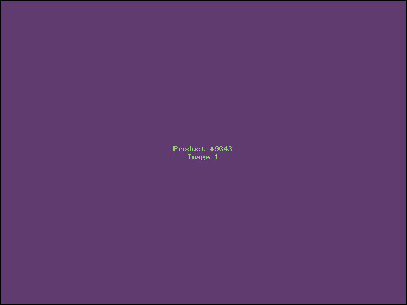 Example Product 9643