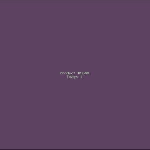 Example Product 9648