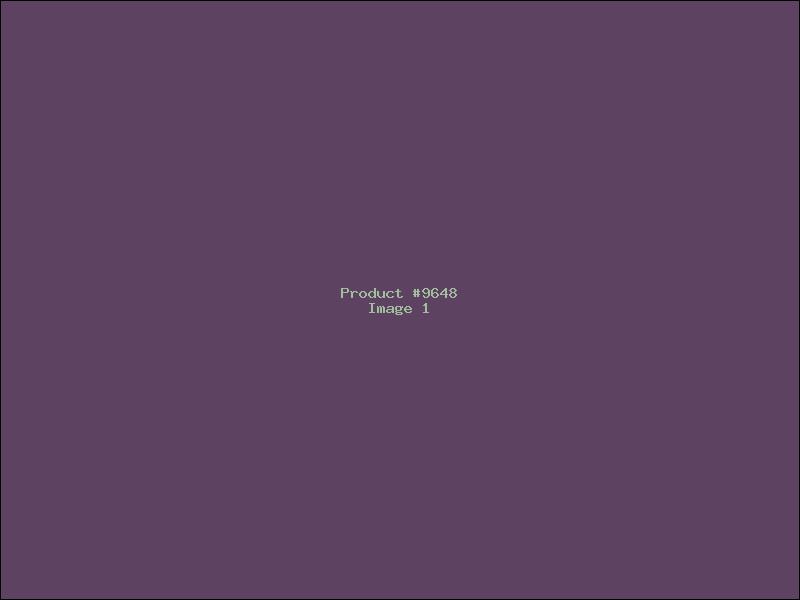 Example Product 9648