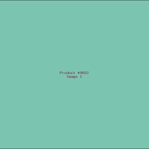 Example Product 9652