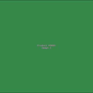 Example Product 9660