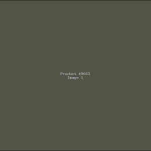 Example Product 9663