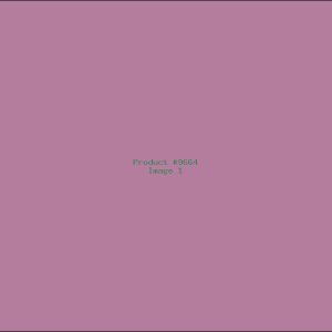 Example Product 9664