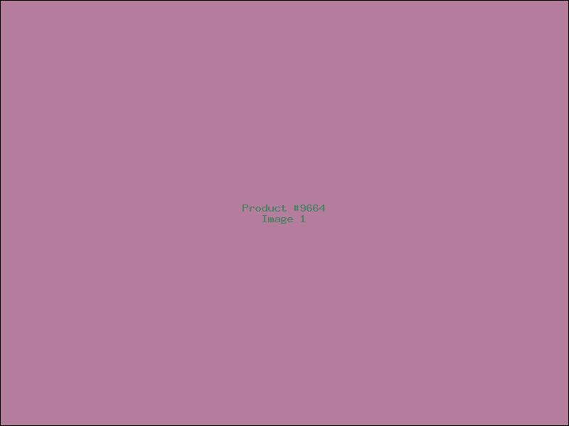 Example Product 9664